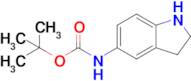 (2,3-Dihydro-1H-indol-5-yl)-carbamic acid tert-butyl ester