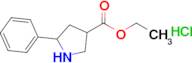 5-Phenyl-pyrrolidine-3-carboxylic acid ethyl ester hydrochloride