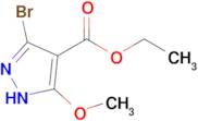 3-Bromo-5-methoxy-1H-pyrazole-4-carboxylic acid ethyl ester