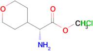 (R)-Amino-(tetrahydro-pyran-4-yl)-acetic acid methyl ester hydrochloride