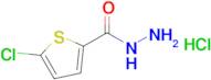 5-Chlorothiophene-2-carbohydrazide hydrochloride