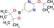 2-tert-butoxy-pyrimidine-5-boronic acid pinacol ester