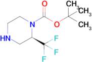 (R)-2-Trifluoromethyl-piperazine-1-carboxylic acid tert-butyl ester