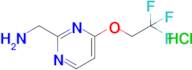 (4-(2,2,2-Trifluoroethoxy)pyrimidin-2-yl)methanamine hydrochloride