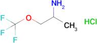 1-Methyl-2-trifluoromethoxy-ethylamine hydrochloride