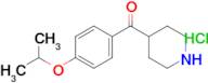 (4-Isopropoxy-phenyl)-piperidin-4-yl-methanone hydrochloride