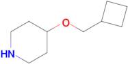 4-Cyclobutylmethoxy-piperidine