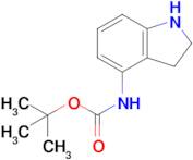 (2,3-Dihydro-1H-indol-4-yl)-carbamic acid tert-butyl ester