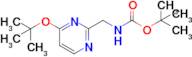 (4-tert-Butoxy-pyrimidin-2-ylmethyl)-carbamic acid tert-butyl ester