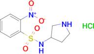 2-Nitro-N-pyrrolidin-3-yl-benzenesulfonamide hydrochloride