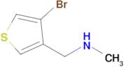 (4-Bromo-thiophen-3-ylmethyl)-methyl-amine