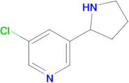 3-Chloro-5-pyrrolidin-2-yl-pyridine