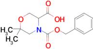 6,6-Dimethyl-morpholine-3,4-dicarboxylic acid 4-benzyl ester