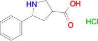 5-Phenyl-pyrrolidine-3-carboxylic acid hydrochloride