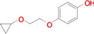 4-(2-Cyclopropoxy-ethoxy)-phenol