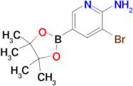 2-Amino-3-bromo-pyridine-5-boronic acid pinacol ester