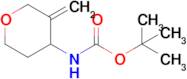 (3-Methylene-tetrahydro-pyran-4-yl)-carbamic acid tert-butyl ester