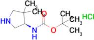 (R)-(4,4-Dimethyl-pyrrolidin-3-yl)-carbamic acid tert-butyl ester hydrochloride