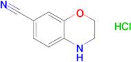 3,4-Dihydro-2H-benzo[1,4]oxazine-7-carbonitrile hydrochloride