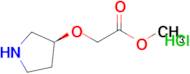 (S)-(Pyrrolidin-3-yloxy)-acetic acid methyl ester hydrochloride