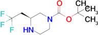 (S)-3-(2,2,2-Trifluoro-ethyl)-piperazine-1-carboxylic acid tert-butyl ester