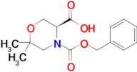 (S)-6,6-Dimethyl-morpholine-3,4-dicarboxylic acid 4-benzyl ester