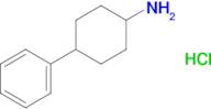 4-Phenyl-cyclohexylamine hydrochloride