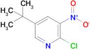 5-tert-Butyl-2-chloro-3-nitro-pyridine