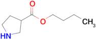 Butyl pyrrolidine-3-carboxylate