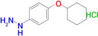 (4-Cyclohexyloxy-phenyl)-hydrazine hydrochloride