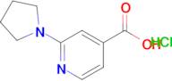2-Pyrrolidin-1-yl-isonicotinic acid hydrochloride