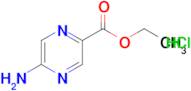 5-Amino-pyrazine-2-carboxylic acid ethyl ester hydrochloride