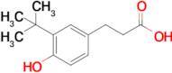 3-(3-(tert-Butyl)-4-hydroxyphenyl)propanoic acid