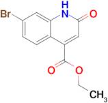 Ethyl 7-bromo-2-oxo-1,2-dihydroquinoline-4-carboxylate