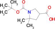 1-(tert-Butoxycarbonyl)-5,5-dimethylpyrrolidine-3-carboxylic acid