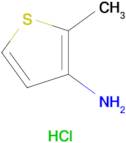 2-Methylthiophen-3-amine hydrochloride