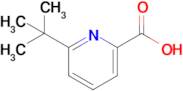 6-(tert-Butyl)picolinic acid