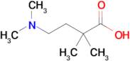 4-(Dimethylamino)-2,2-dimethylbutanoic acid