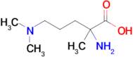 2-Amino-5-(dimethylamino)-2-methylpentanoic acid