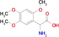 2-Amino-2-(2,4,5-trimethoxyphenyl)acetic acid