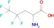 2-Amino-4,4,5,5,5-pentafluoropentanoic acid