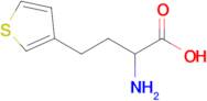 2-Amino-4-(thiophen-3-yl)butanoic acid