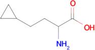 2-Amino-4-cyclopropylbutanoic acid