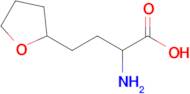 2-Amino-4-(tetrahydrofuran-2-yl)butanoic acid