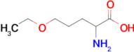 2-Amino-5-ethoxypentanoic acid