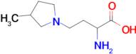 2-Amino-4-(3-methylpyrrolidin-1-yl)butanoic acid