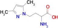 2-Amino-4-(3,5-dimethyl-1h-pyrazol-1-yl)butanoic acid