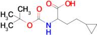 2-((Tert-butoxycarbonyl)amino)-4-cyclopropylbutanoic acid