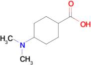 4-(Dimethylamino)cyclohexane-1-carboxylic acid