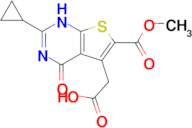 2-[2-cyclopropyl-6-(methoxycarbonyl)-4-oxo-1H,4H-thieno[2,3-d]pyrimidin-5-yl]acetic acid